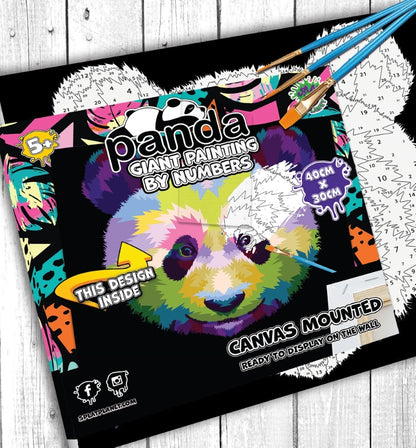 Splat Planet tapyba pagal skaičius, PANDA 30x40 cm
